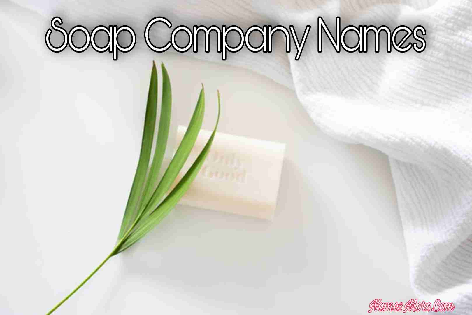 Featured Image for 950+ Soap Company Names With All Quality Guide [2024]