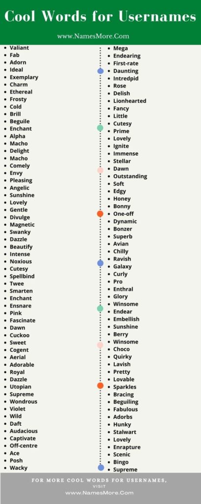 800+ Cool Words for Usernames [Best Guide] List Infographic