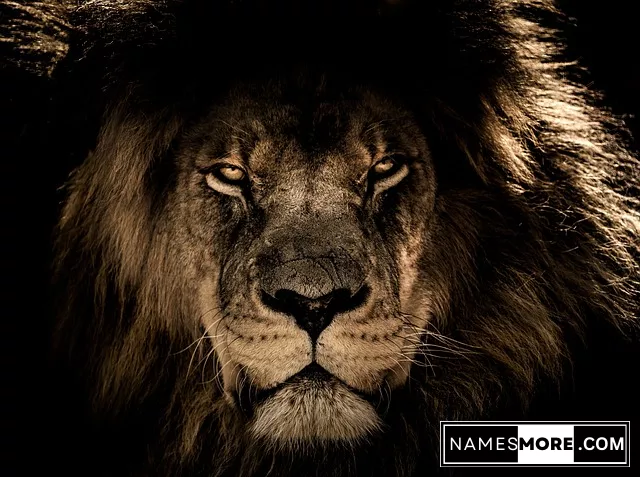 Featured Image for Lion Name Generator