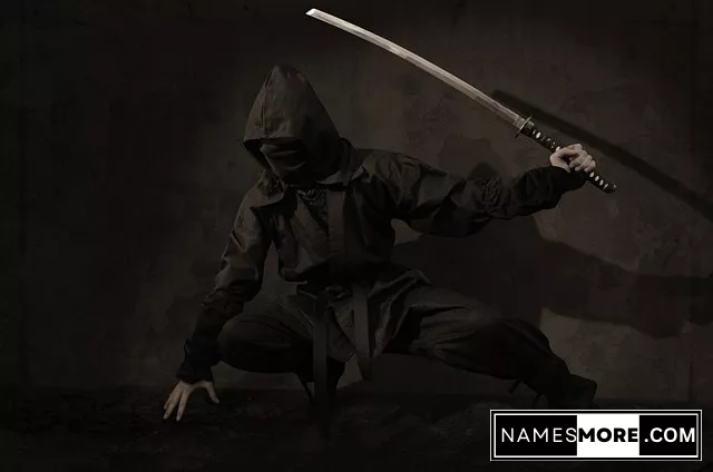 Featured Image for Ninja Name Generator