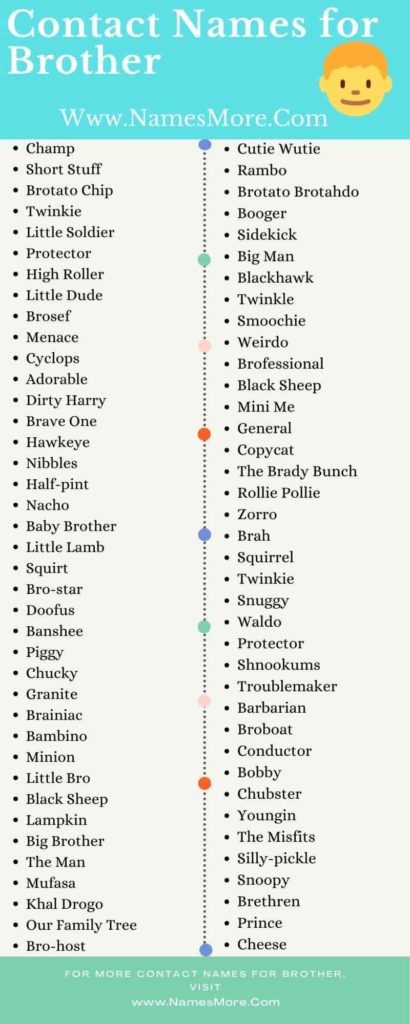 Contact Names for Brother [600+ Best & Funny Nicknames for Brother] List Infographic
