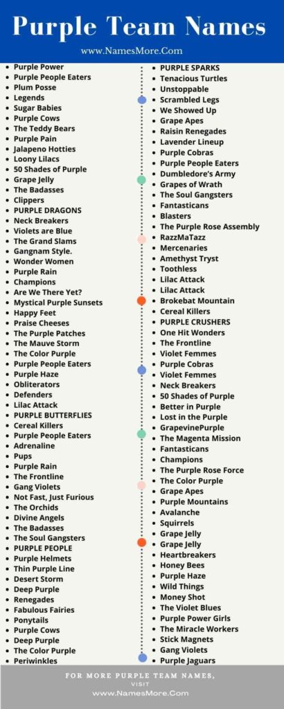 Purple Team Names in 2024 [Cool and Unique] List Infographic
