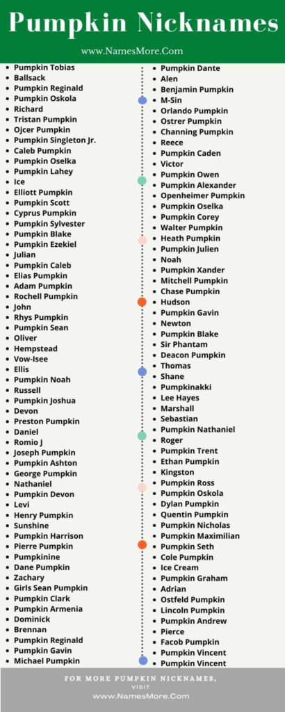 800+ Pumpkin Nicknames [Cool, Unique & Best] List Infographic