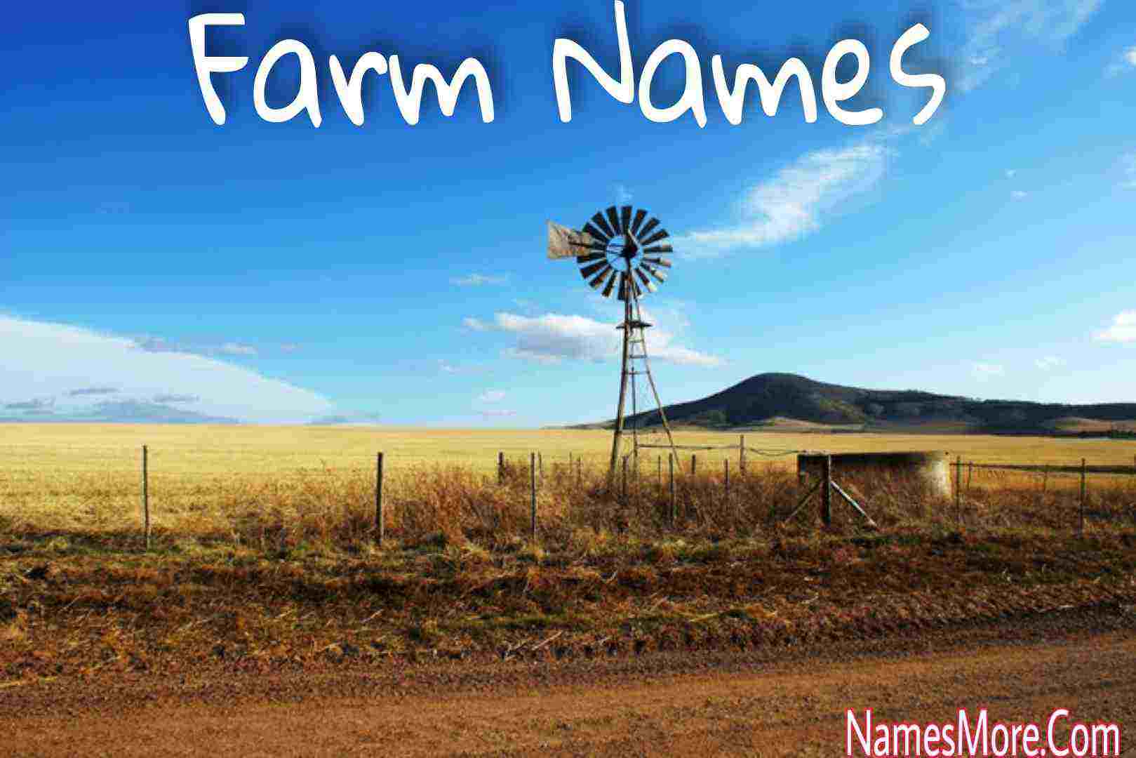 Featured Image for 800+ Farm Names In 2024 [Catchy And Funny]