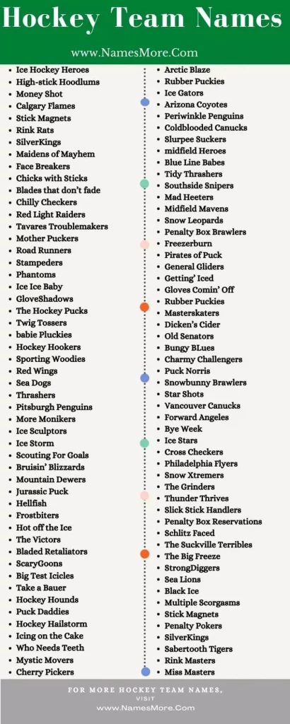 960+ Hockey Team Names [Cool and Creative] List Infographic