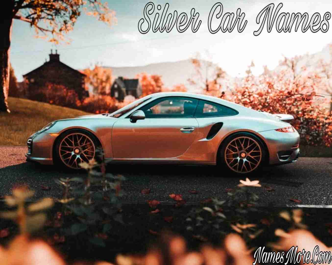 Featured Image for 780+ Silver Car Names [Best Guide]