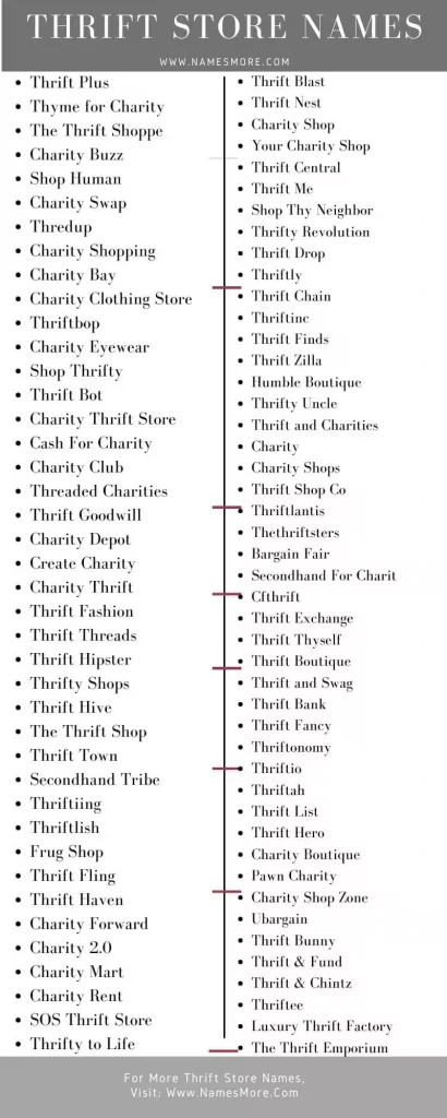 890+ Thrift Store Names with the Efficient Guide [Vintage and Funny] List Infographic