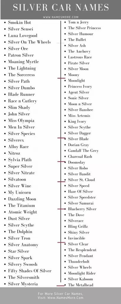 780+ Silver Car Names [Best Guide] List Infographic