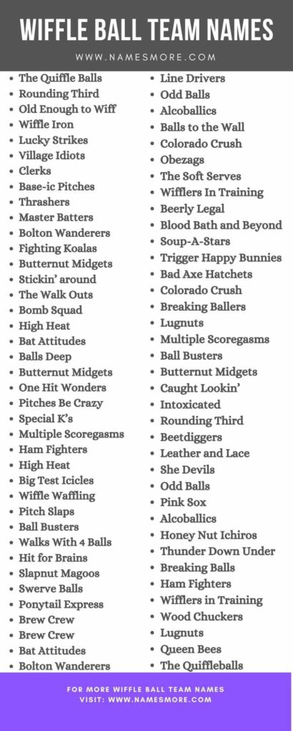 1200+ Wiffle Ball Team Names:2024 [Best Cool, Catchy & Funny] List Infographic