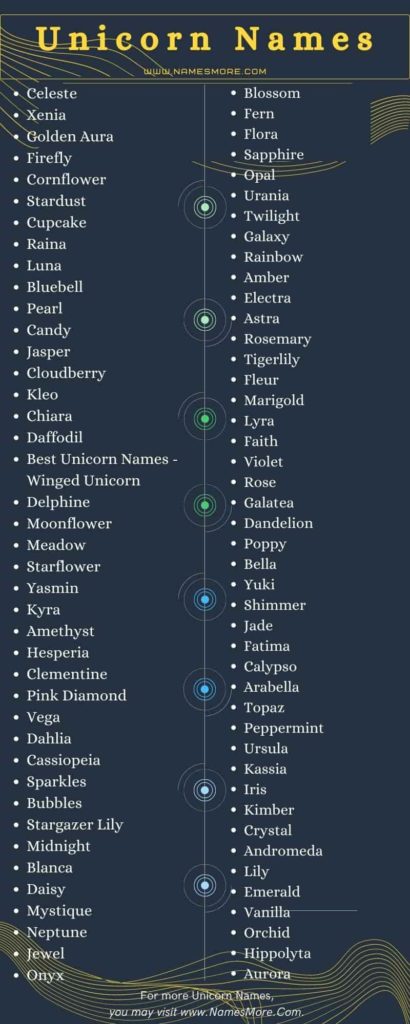Unicorn Names [600+ Cool, Real & Catchy Names for Unicorn] List Infographic