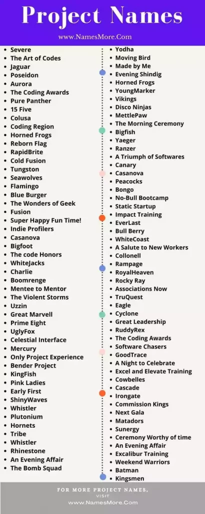 Project Names Idea with the Best Guide in 2024 [Cool and Funny] List Infographic