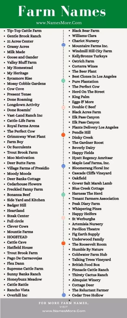 800+ Farm Names in 2024 [Catchy and Funny] List Infographic