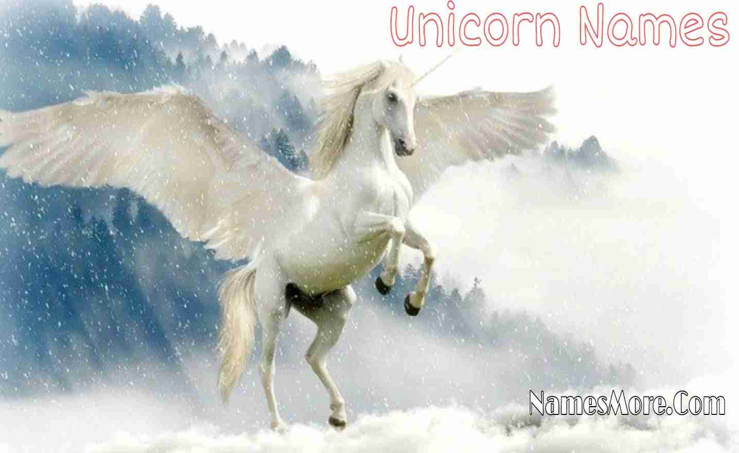 Featured Image for Unicorn Names [600+ Cool, Real & Catchy Names For Unicorn]