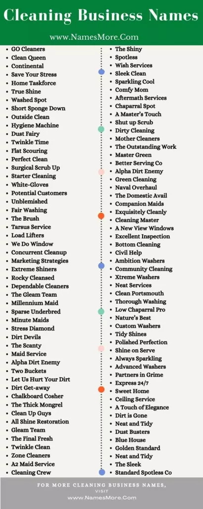 850+ Cleaning Business Names in 2021 [Clever and Catchy] List Infographic