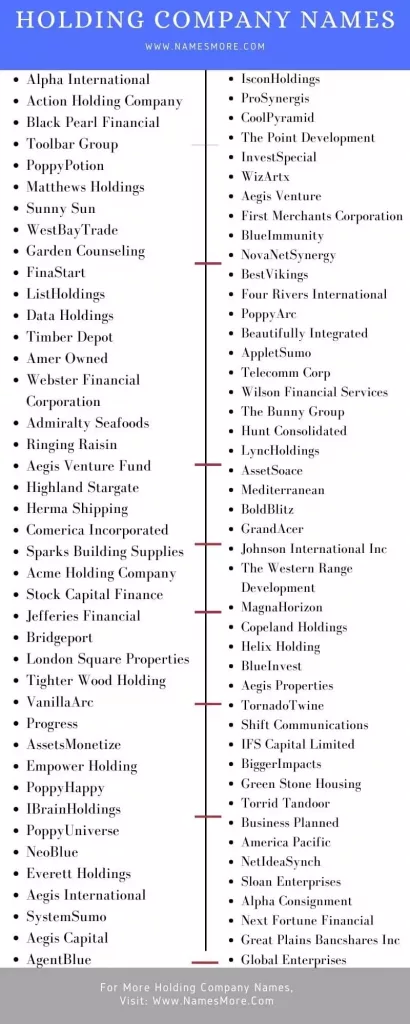 Holding Company Names with Guide [980+ Creative, Unique & Good] List Infographic