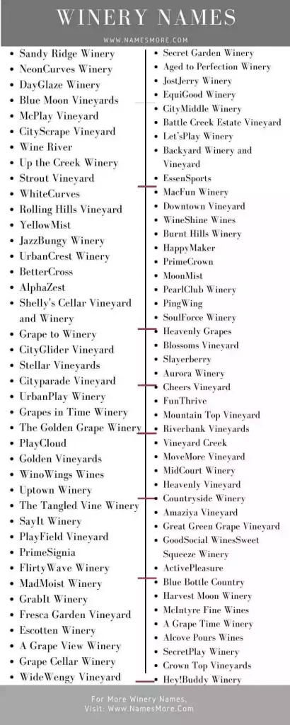 600+ Winery Names [Catchy and Creative] List Infographic