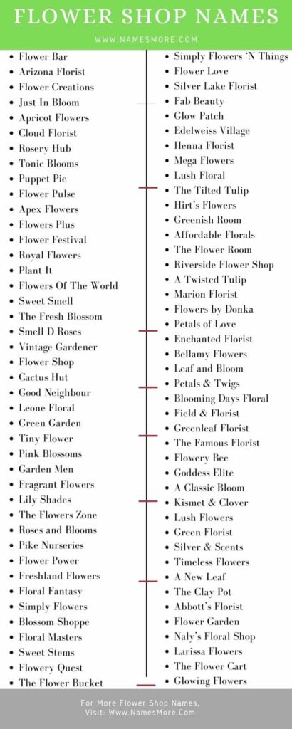 990+ Flower Shop Names [Cute & Attractive Florist Names] List Infographic